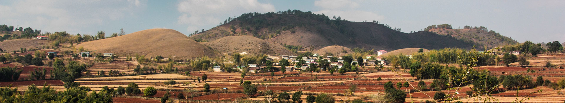 term-banner